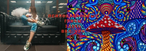 ПСИЛОЦИБИНОВЫЕ ГРИБЫ Алексеевка