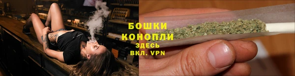 ПСИЛОЦИБИНОВЫЕ ГРИБЫ Алексеевка