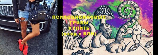 спиды Алексин